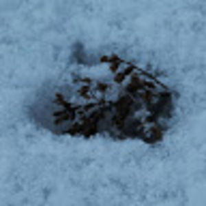 Meet your Posher, Yasmina